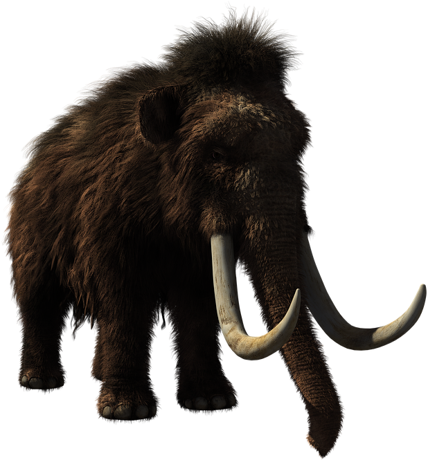 Mammoth PNG Pic Background