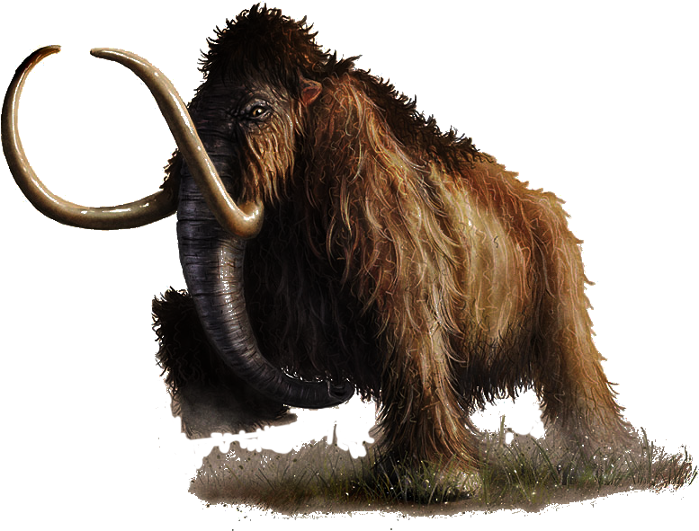 Mammoth Transparent Free PNG