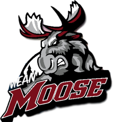 Manitoba Moose PNG HD Quality