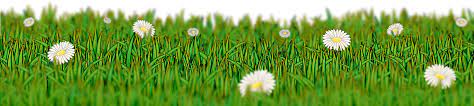 Meadow Download Free PNG