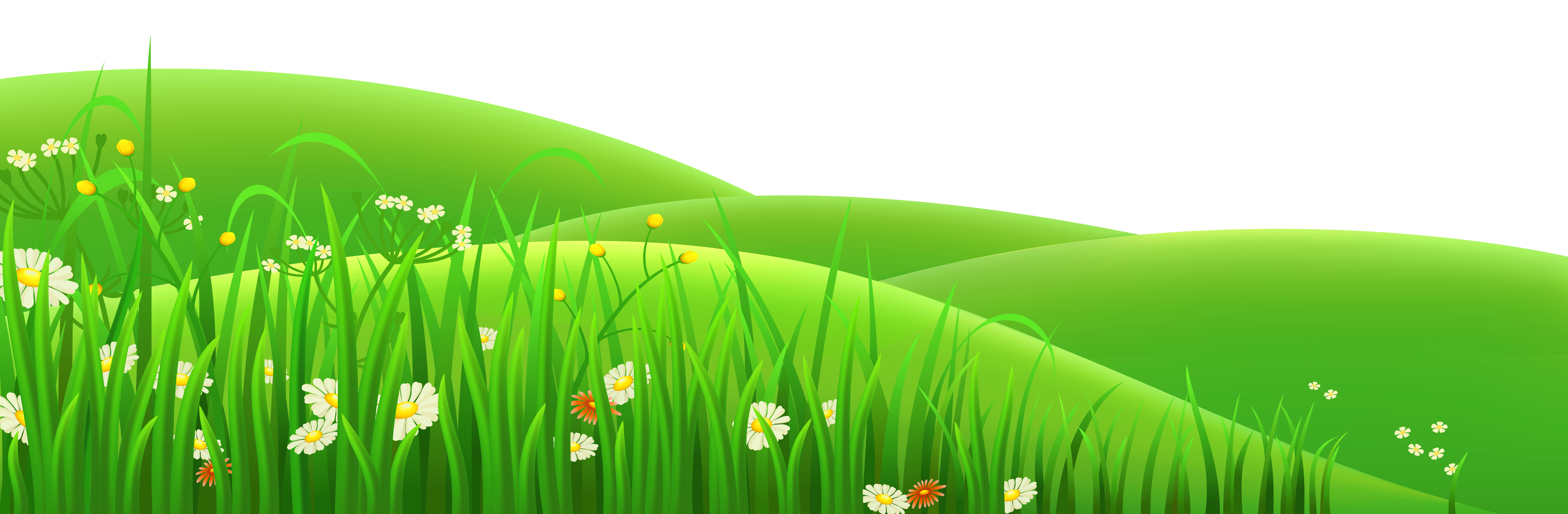 Meadow PNG Free File Download
