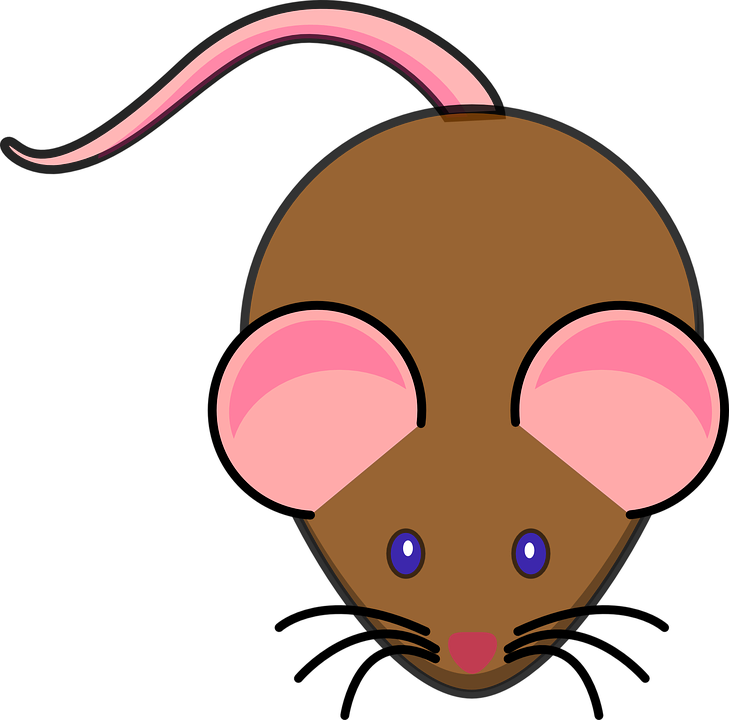 Mice Free PNG