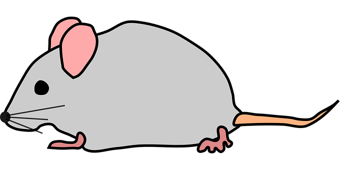 Mice PNG Background