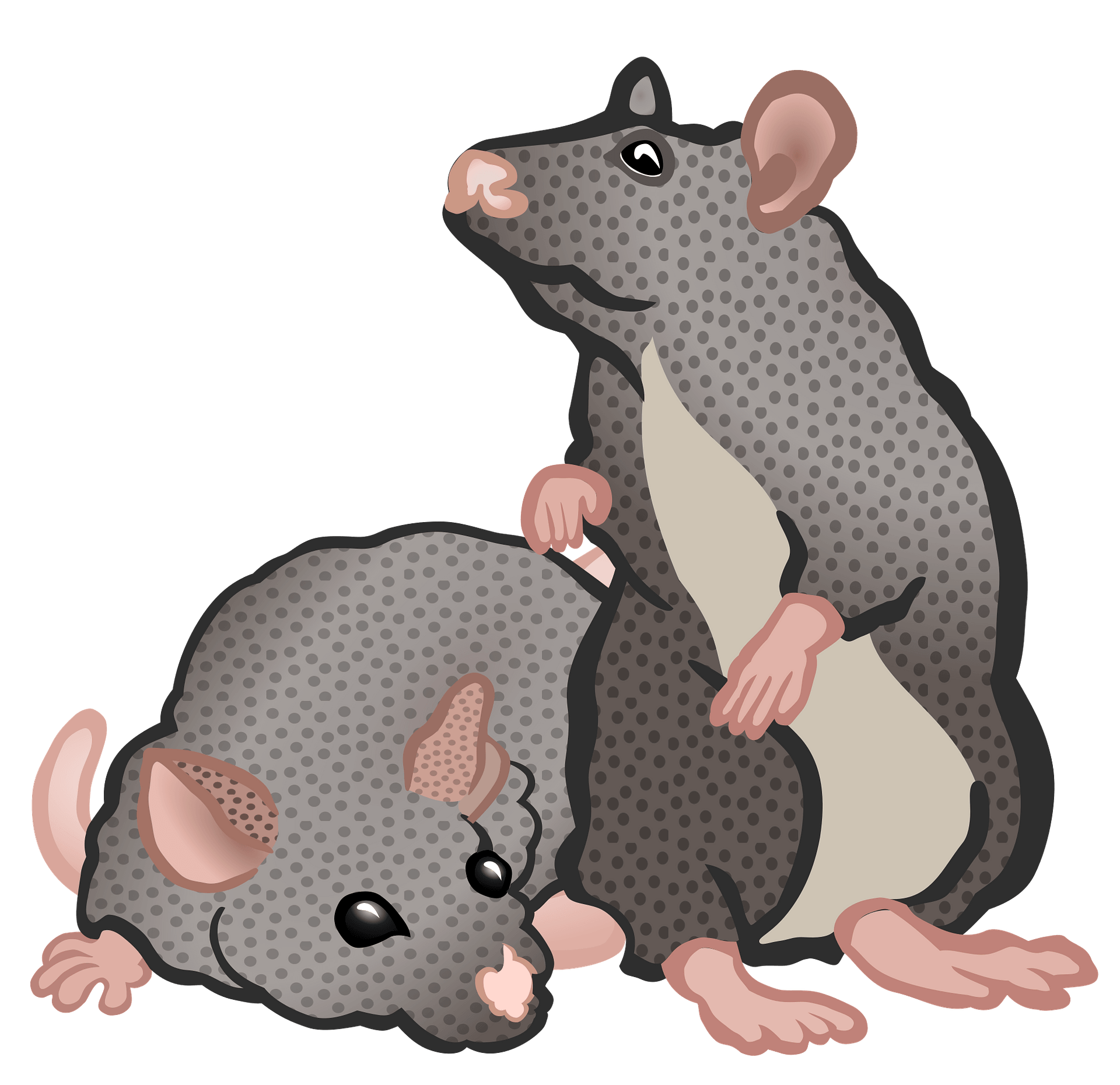 Mice PNG Free File Download
