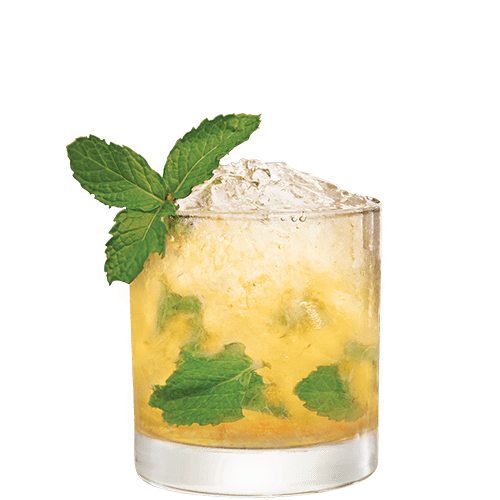 Mint Julep PNG Clipart Background