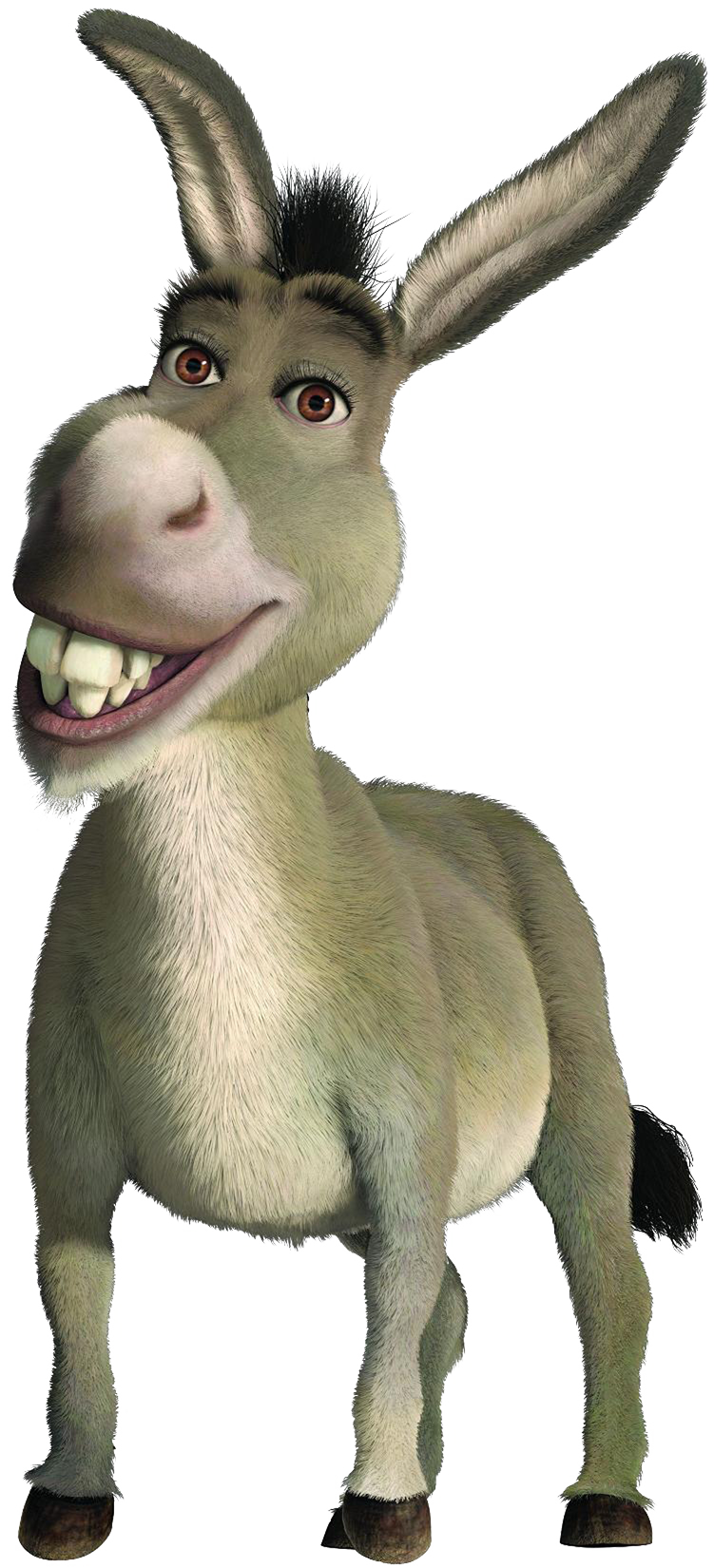 Mule Background PNG Image