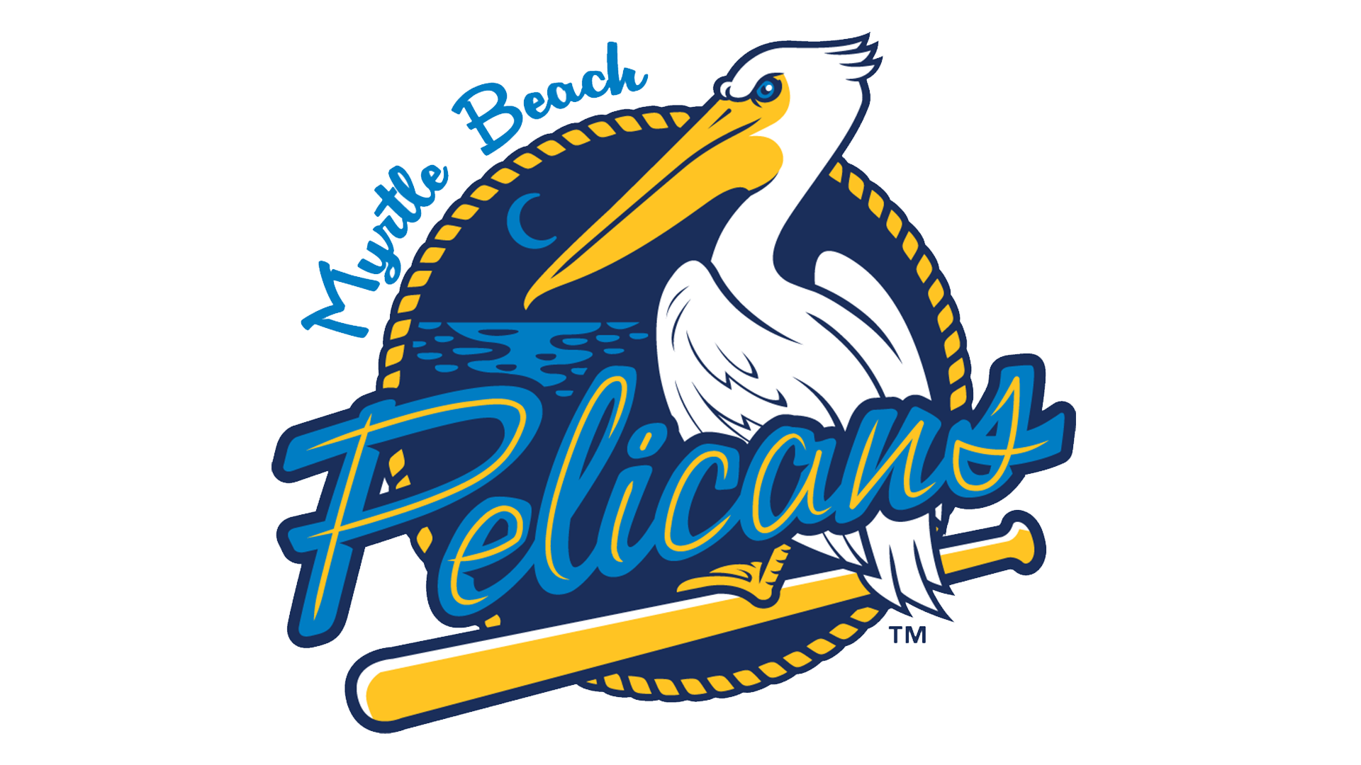 Myrtle Beach Pelicans Transparent PNG