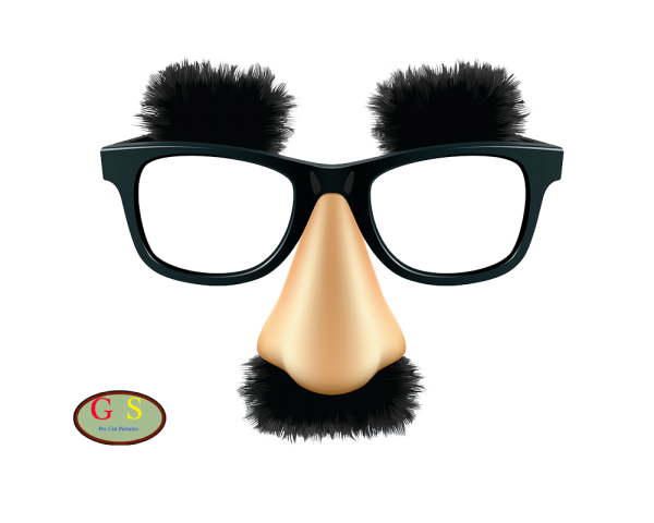 New Year Glasses PNG HD Quality
