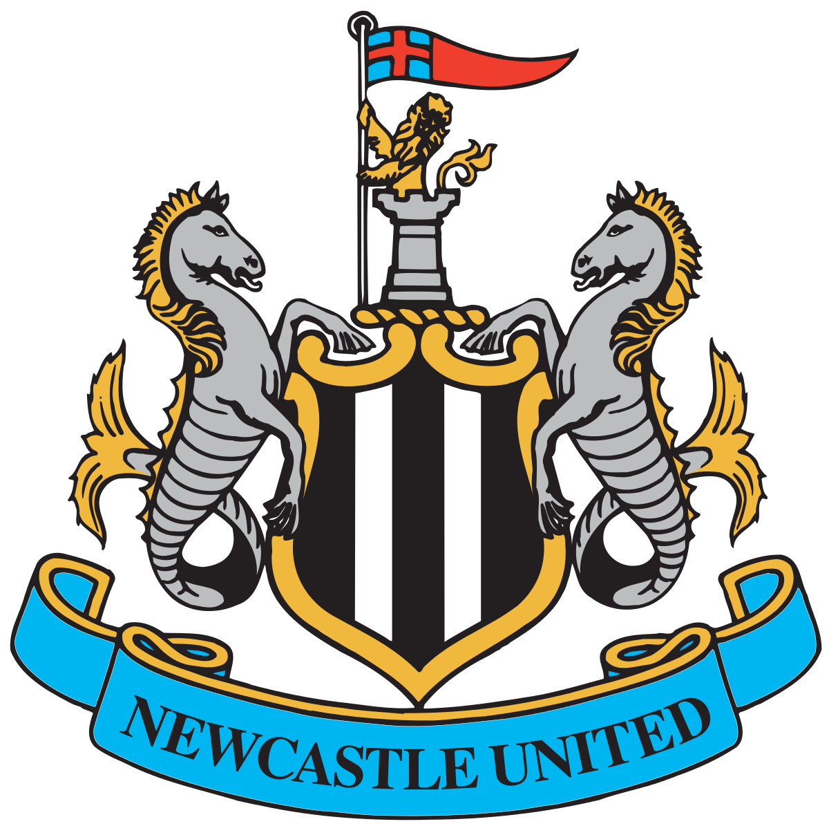 Newcastle United transparent fond