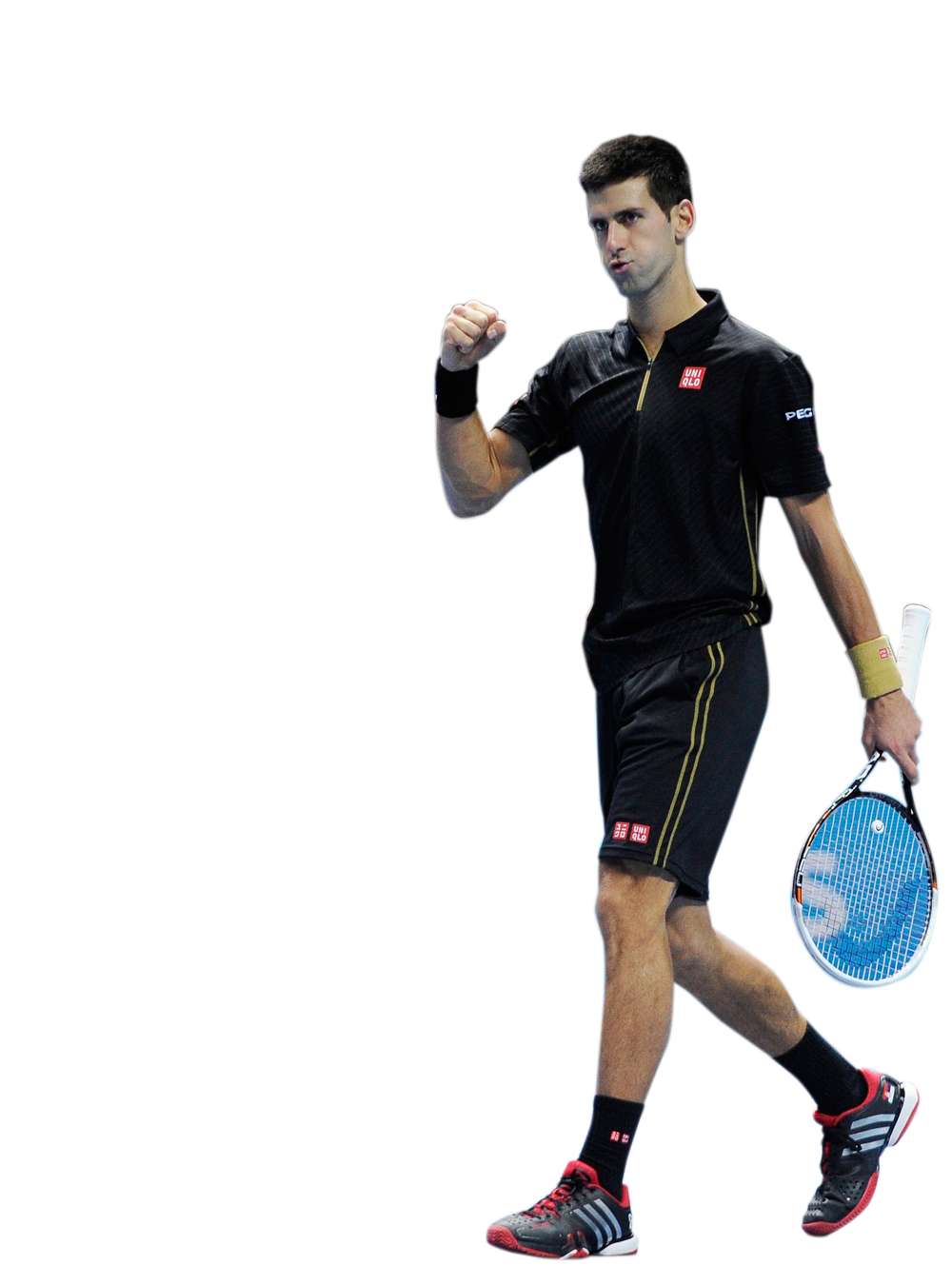 Novak Djokovic PNG Background