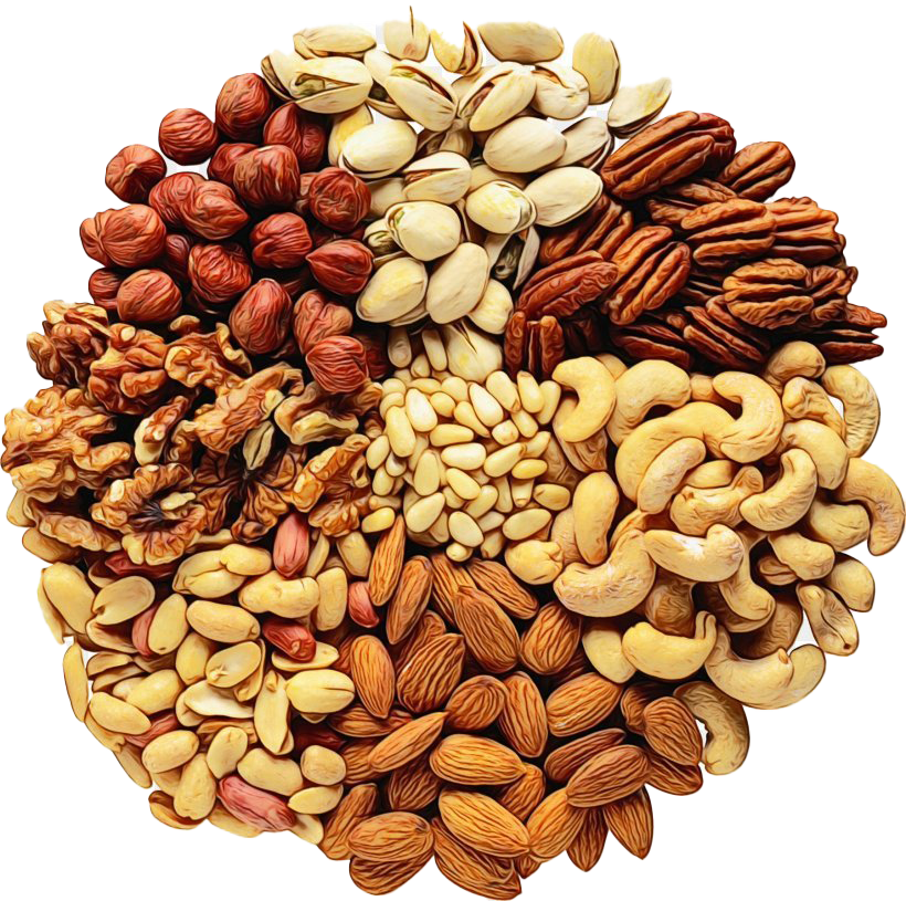 Nut Background PNG