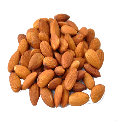 Nut Download Free PNG