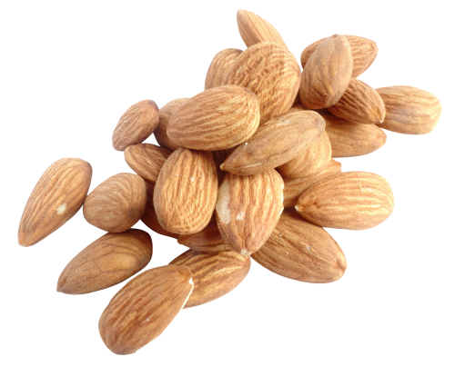 Nut PNG Photo Image