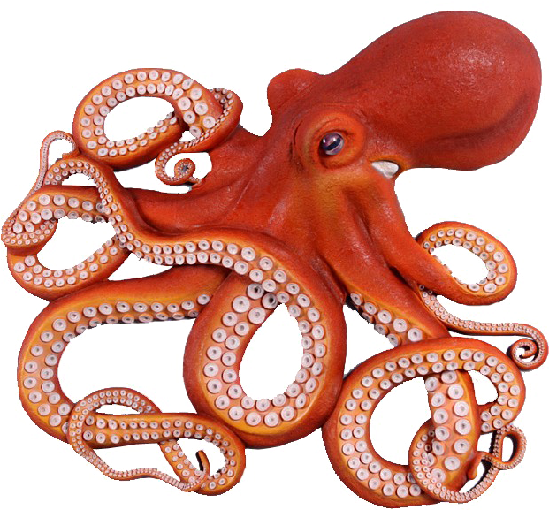 Octopuse Background PNG Image