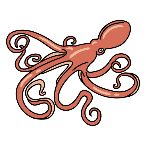Octopuse PNG Photo Image