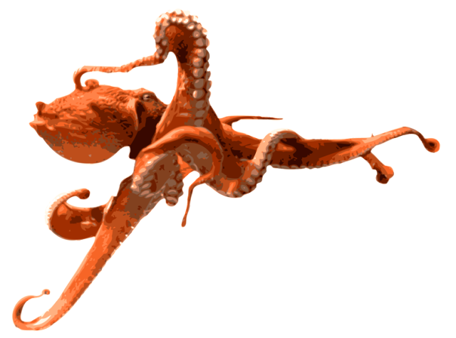 Octopuse PNG Pic Background