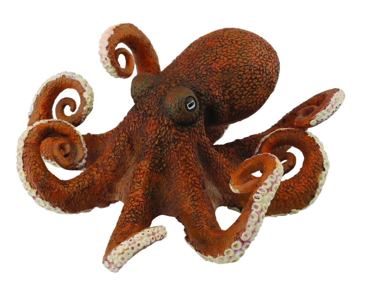 Octopuse Transparent Image