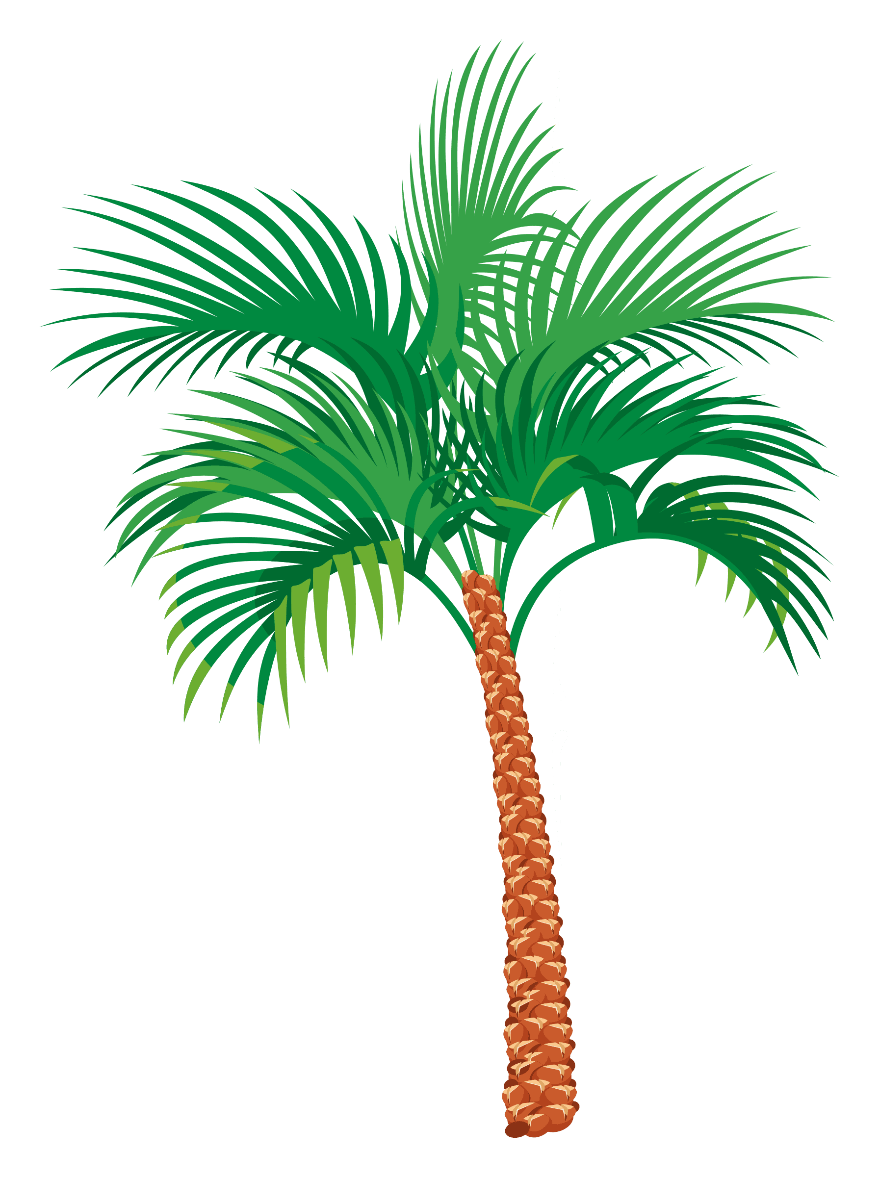 Palm Free Picture PNG
