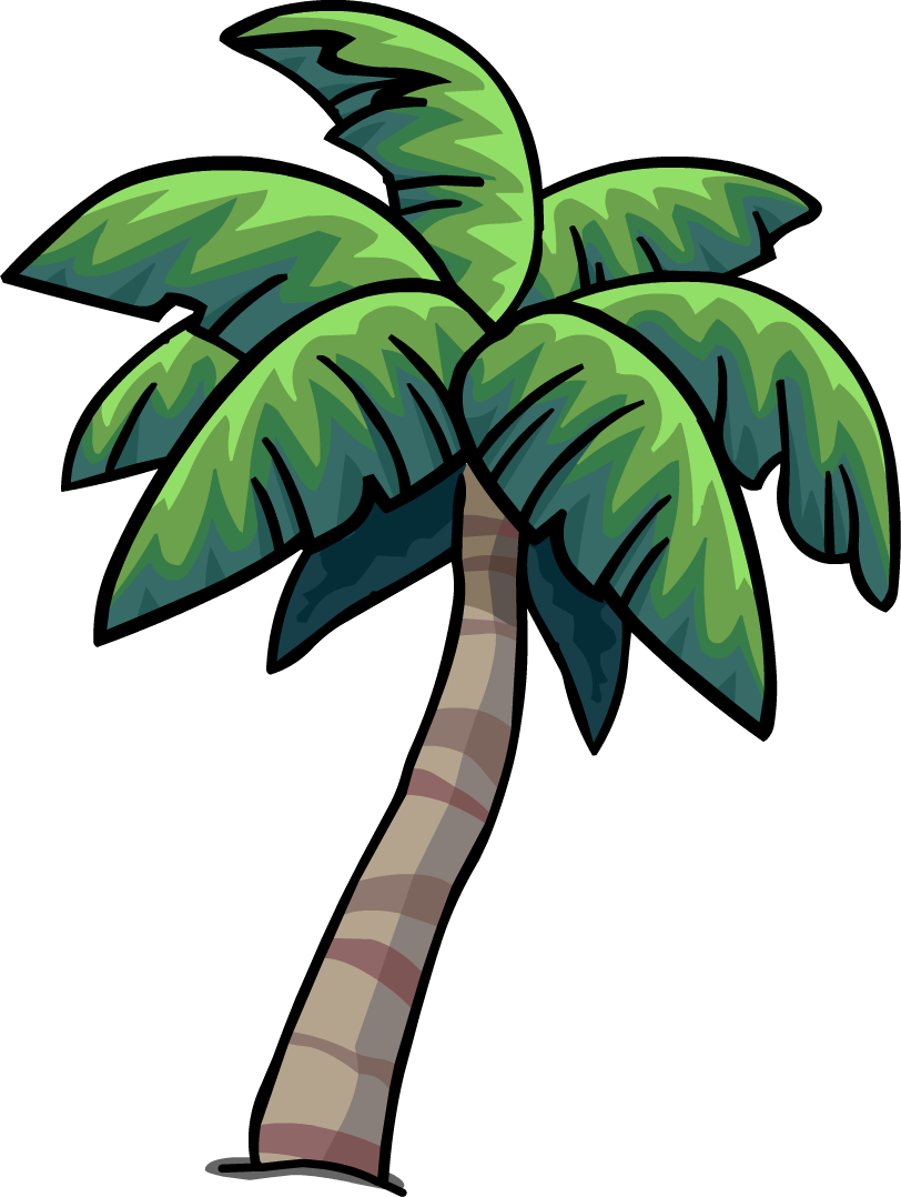 Palm PNG Pic Background