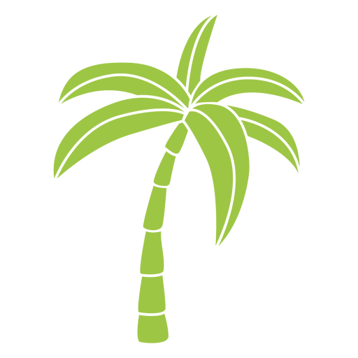 Palm Transparent Free PNG