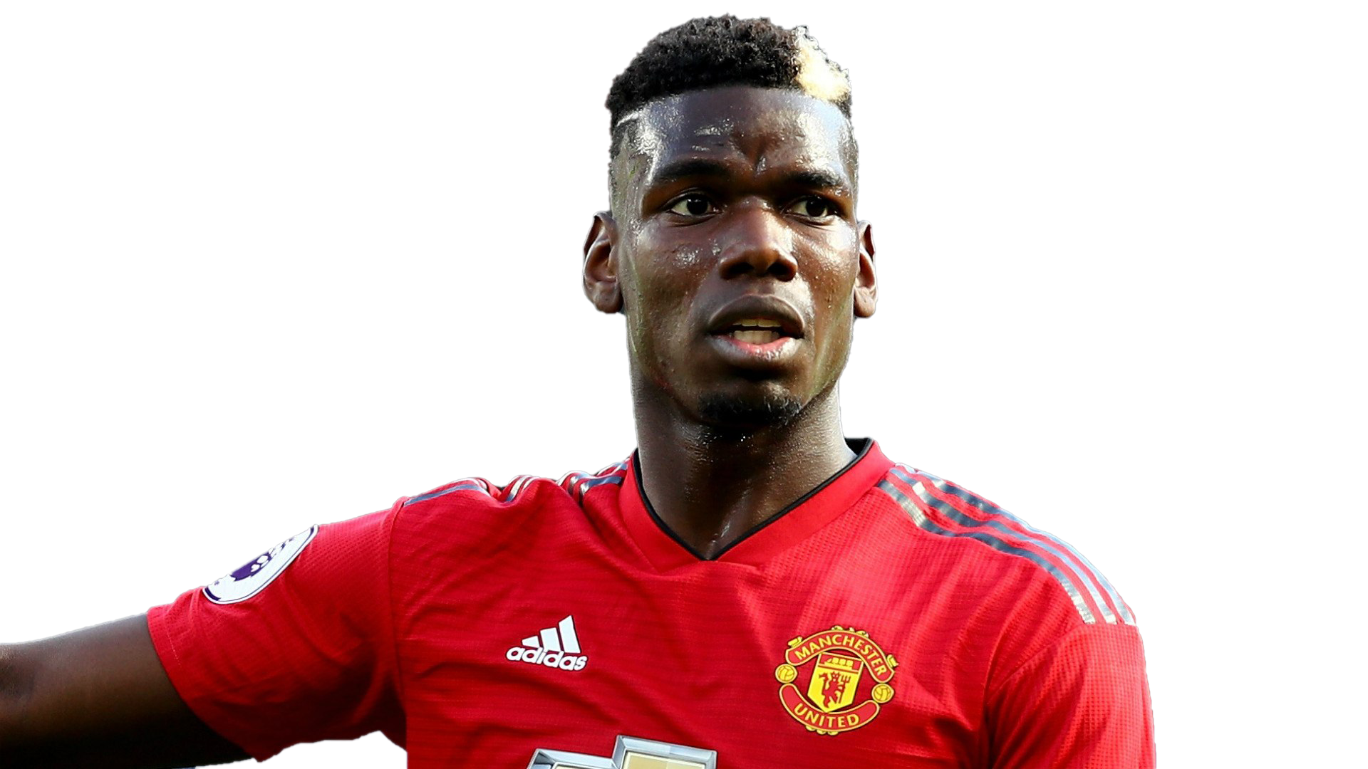 Paul Pogba Manchester United Free PNG