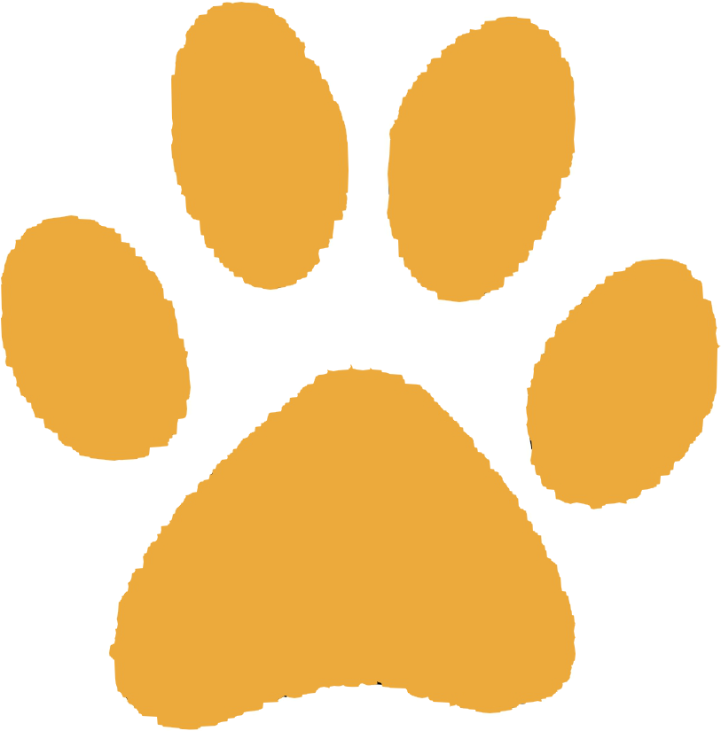 Paw Print PNG Images HD