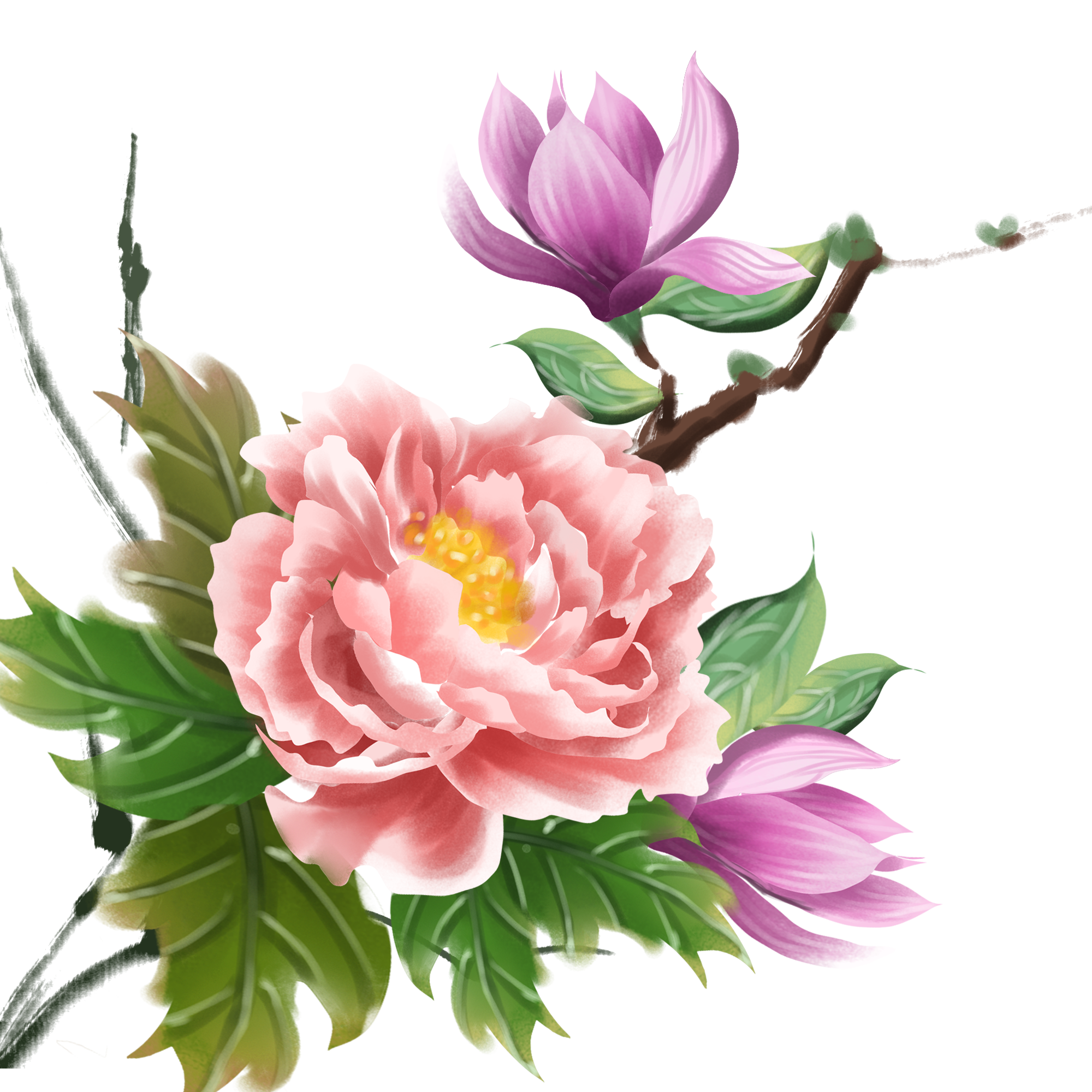 Peonies Background PNG Image