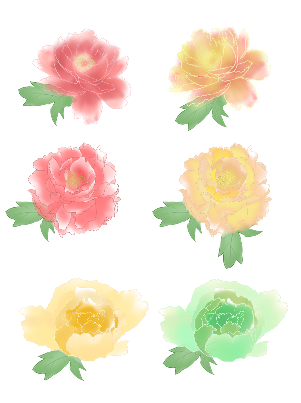 Peonies PNG Clipart Background