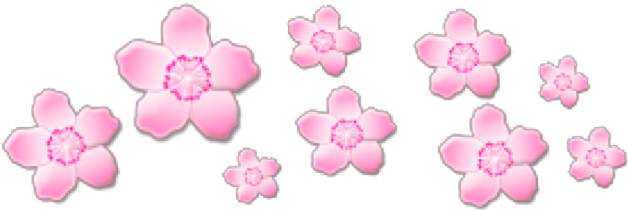 Pink and White Aesthetic PNG HD Quality