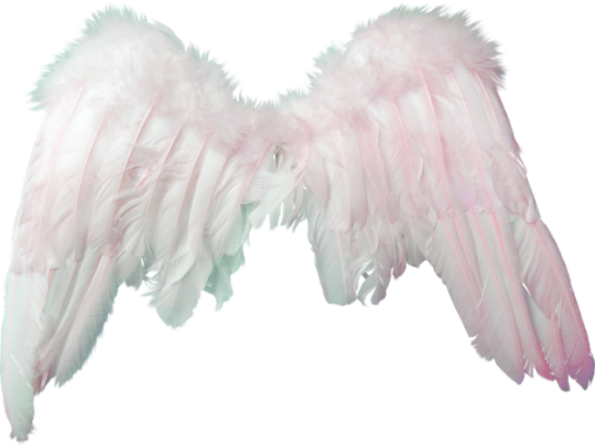 Pink and White Aesthetic Transparent File
