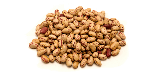 Pinto Beans Download Free PNG