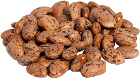 Pinto Beans PNG HD Quality