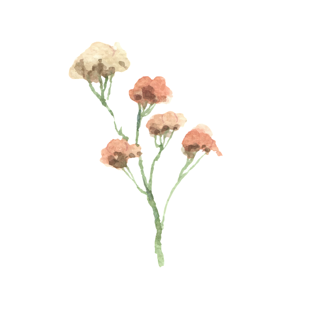 Plant Aesthetic Free PNG