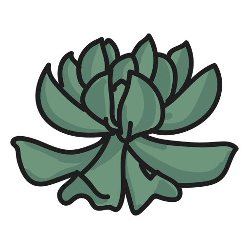 Plant Aesthetic Transparent Free PNG