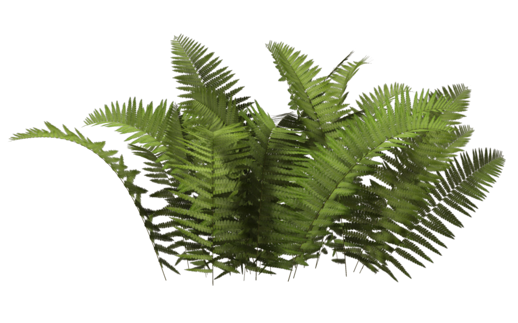 Plant Download Free PNG