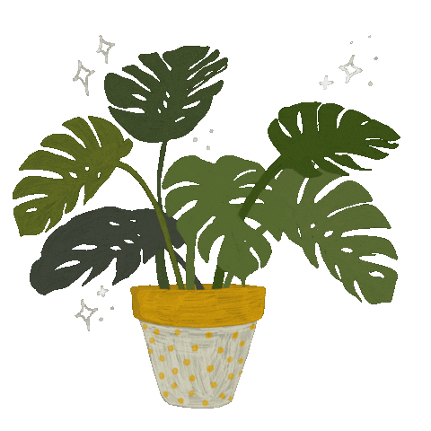 Plant Mom Aesthetics Download Free PNG