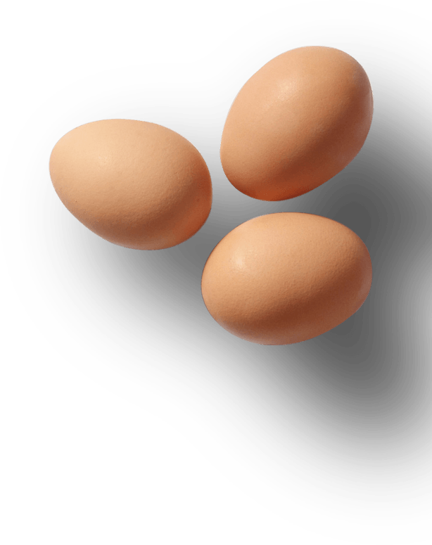 Pngegg PNG Background