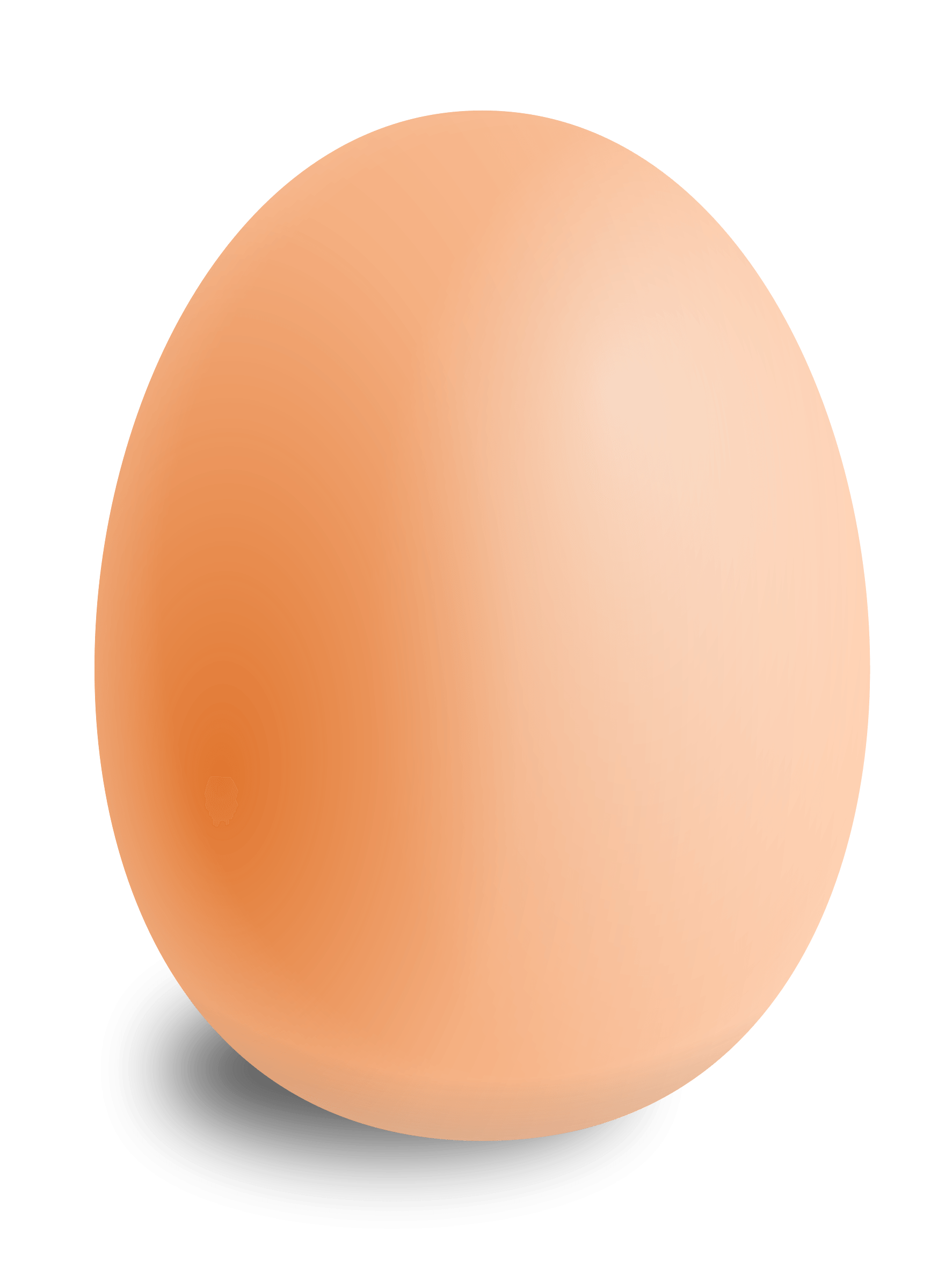Pngegg PNG Photo Image
