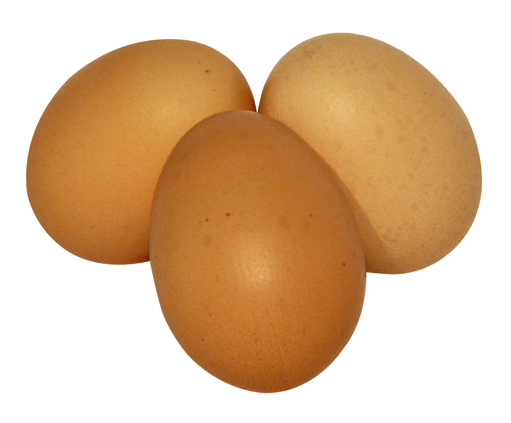 Pngegg PNG Photos