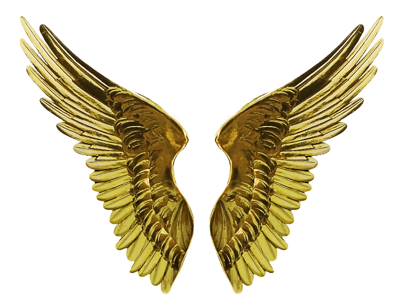 Pngwing Transparent Free PNG