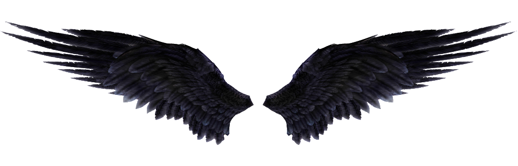 Pngwing Transparent PNG