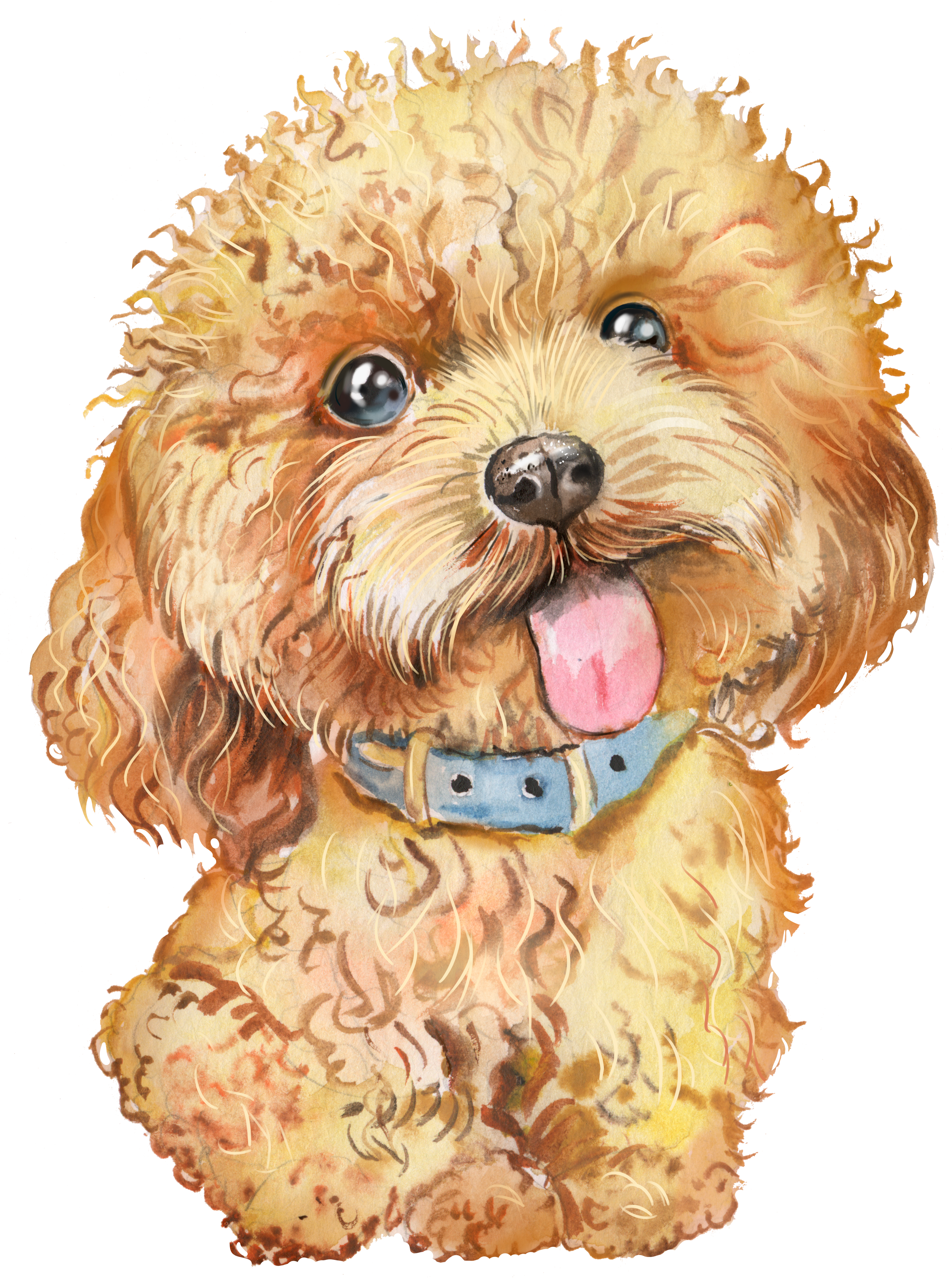 Poodle Free PNG