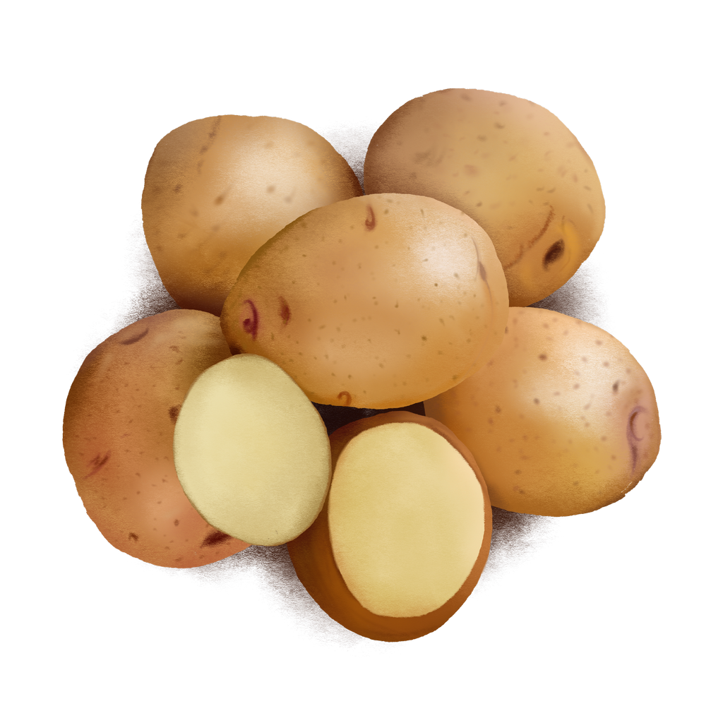 Potatoes Latar belakang PNG gambar