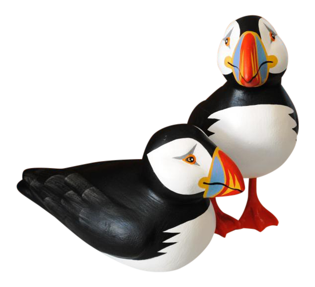 Puffin PNG Free File Download