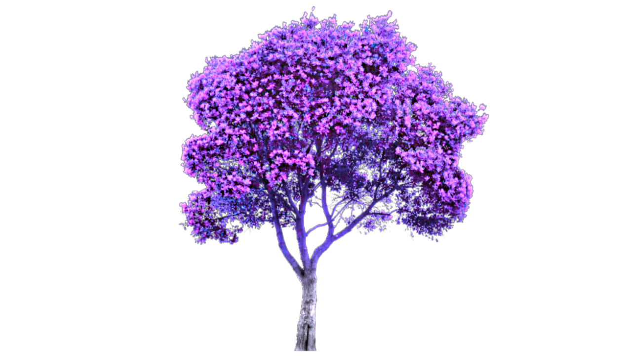Purple Background PNG Image