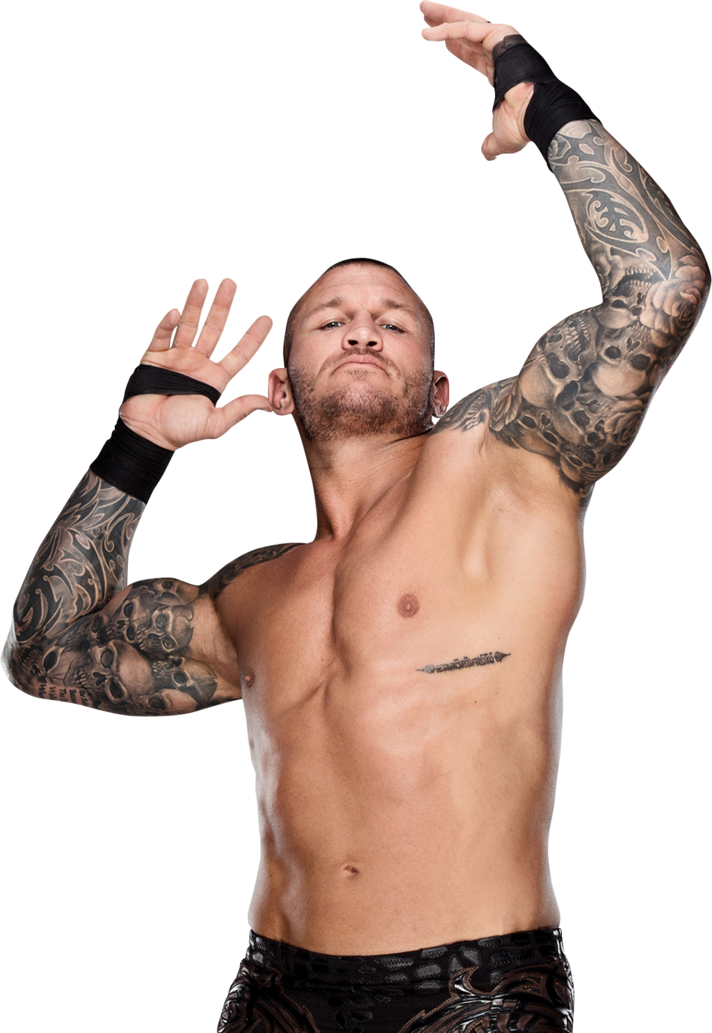 Randy Orton PNG Background