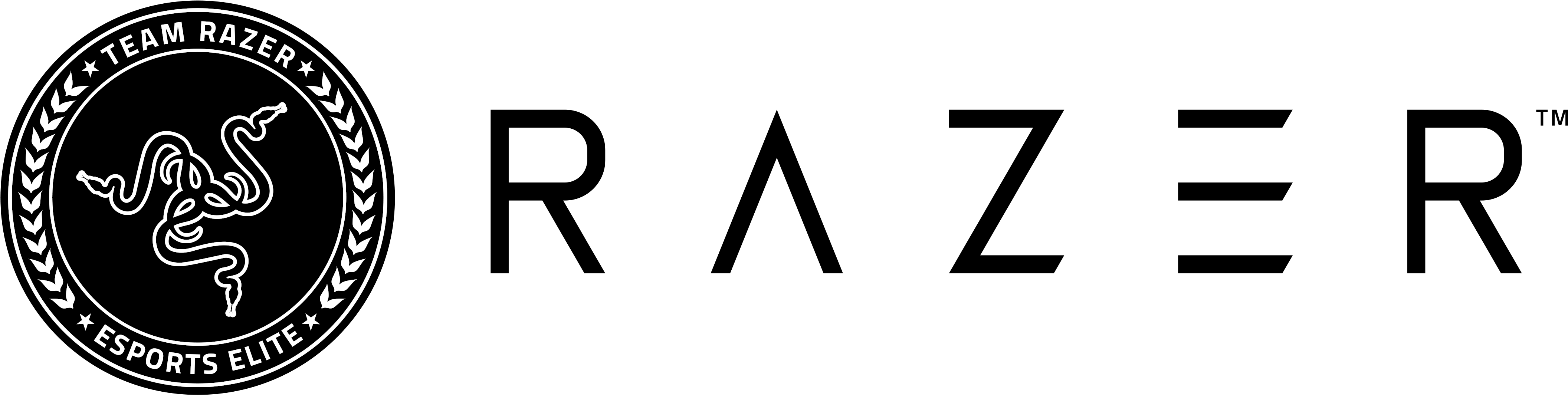 Razer Logo PNG HD Quality