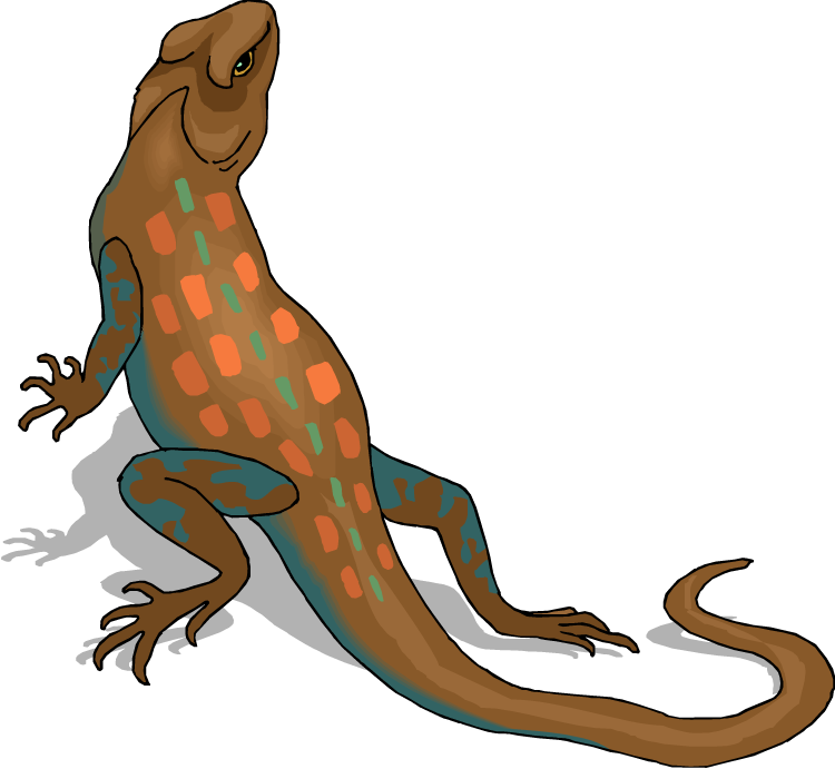 Reptile PNG Clipart Background