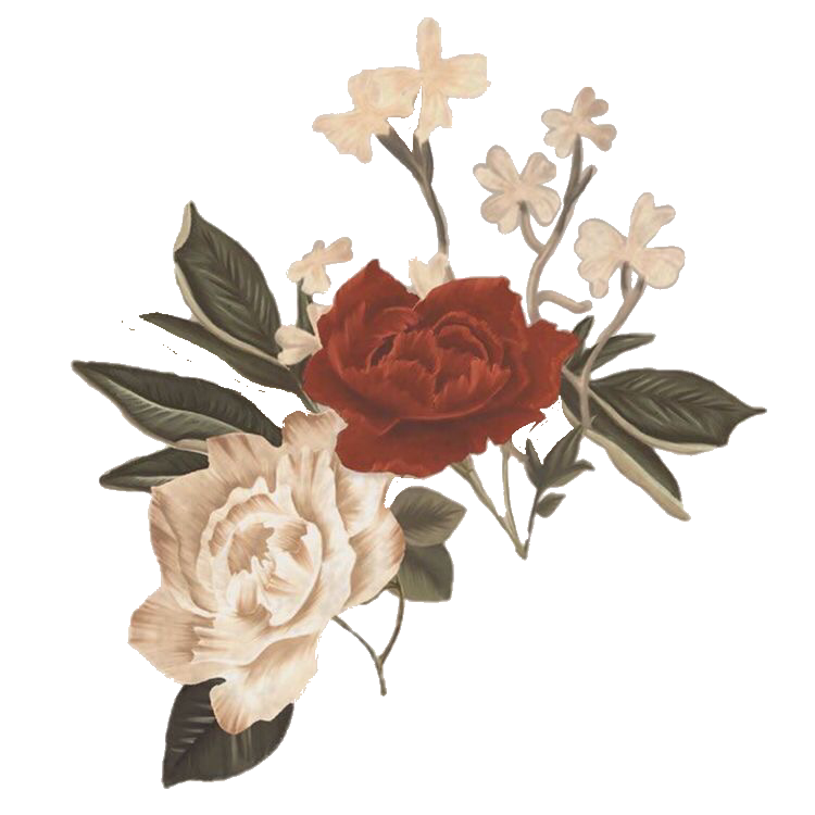 Rose Aesthetic Background PNG Image