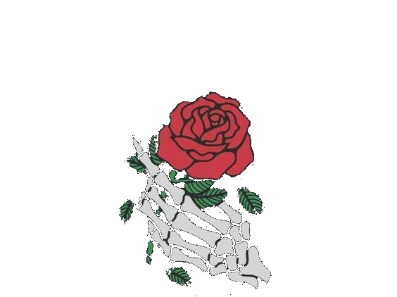 Rose Aesthetic PNG HD Quality